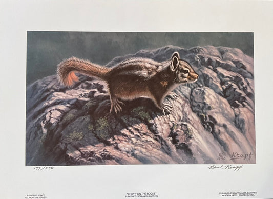 Paul Krapf "Chippy on the Rocks" Print