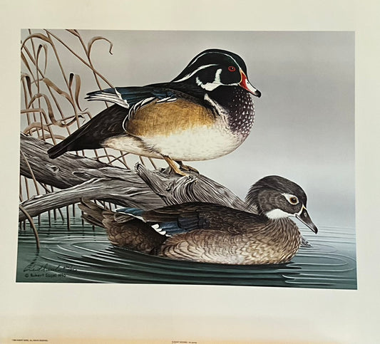 an unframed and matted print featuring two ducks on a pond, with a focus on their detailed plumage.